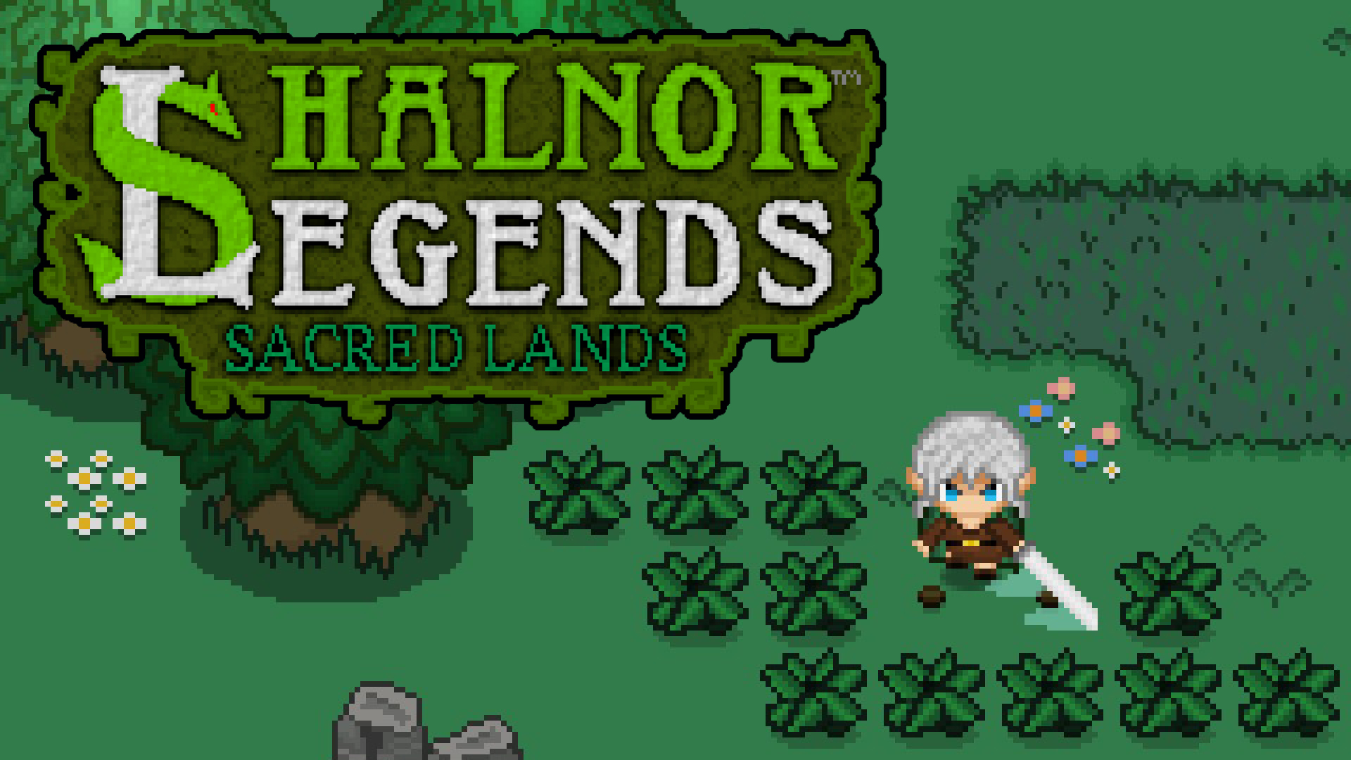 Shalnor Legends: Sacred Lands XBOX ONE / SERIES X|S ?