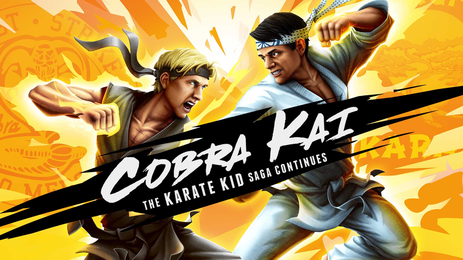 Cobra Kai The Karate Kid Saga Continues