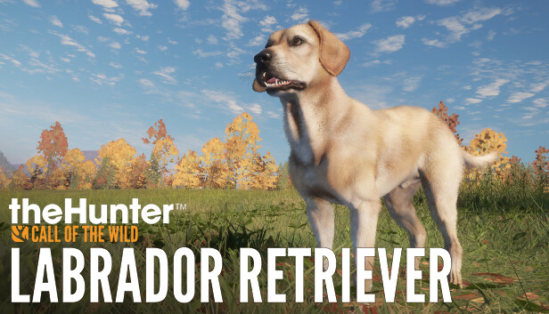 theHunter: Call of the Wild™ - Labrador Retriever