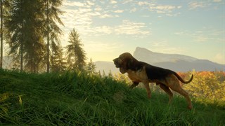 Screenshot theHunter™: Call of the Wild - Bloodhound 