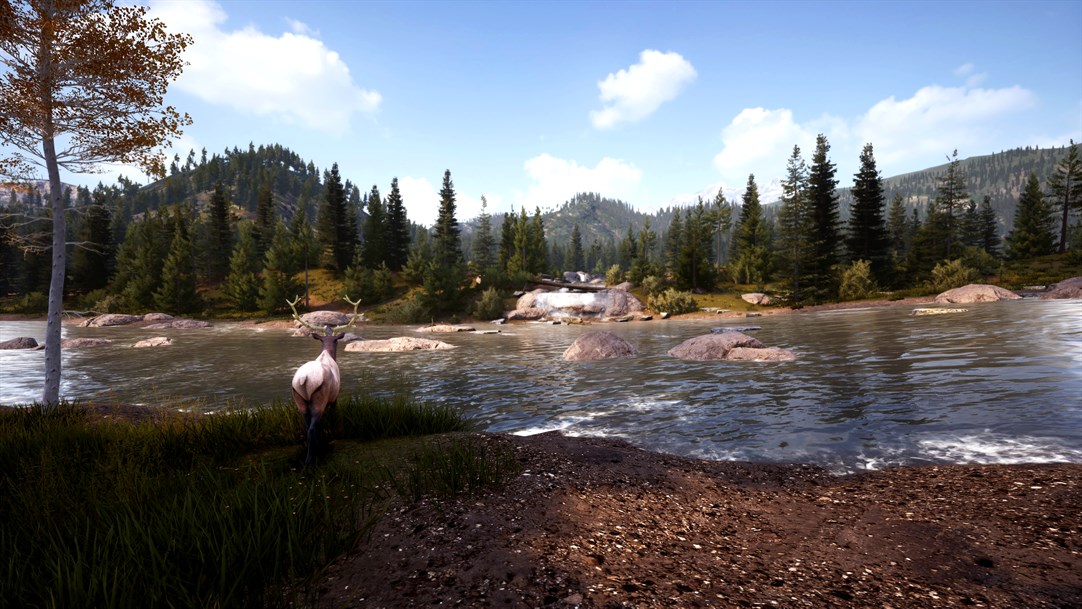 Скриншот Hunting Simulator 2 - Bear Hunter Edition Xbox One