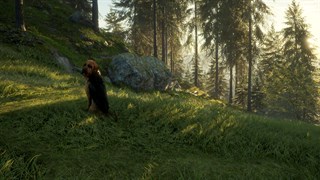 Скриншот theHunter™: Call of the Wild - Bloodhound 