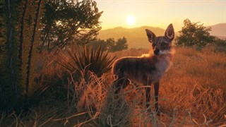 Скриншот theHunter™: Call of the Wild - Rancho Del Arroyo